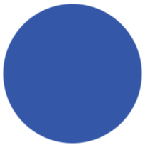 blue-icon